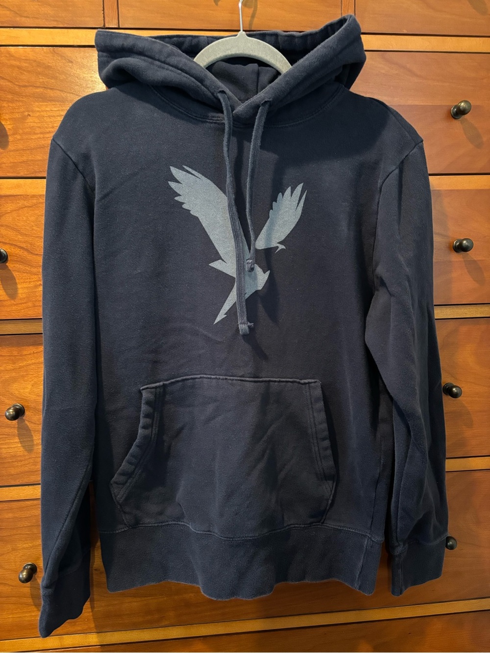 American Eagle Outfitters Navy Hoodie with Light Gray Eagle Graphic